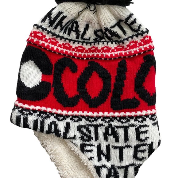 Ruth Robin Colorado Centennial State Spell-out Toboggan Earflap Pom Beanie Hat - Picture 2 of 15